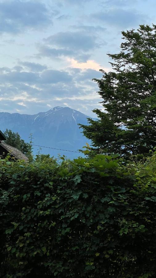 Mika'S Garden Villa Bled Luaran gambar